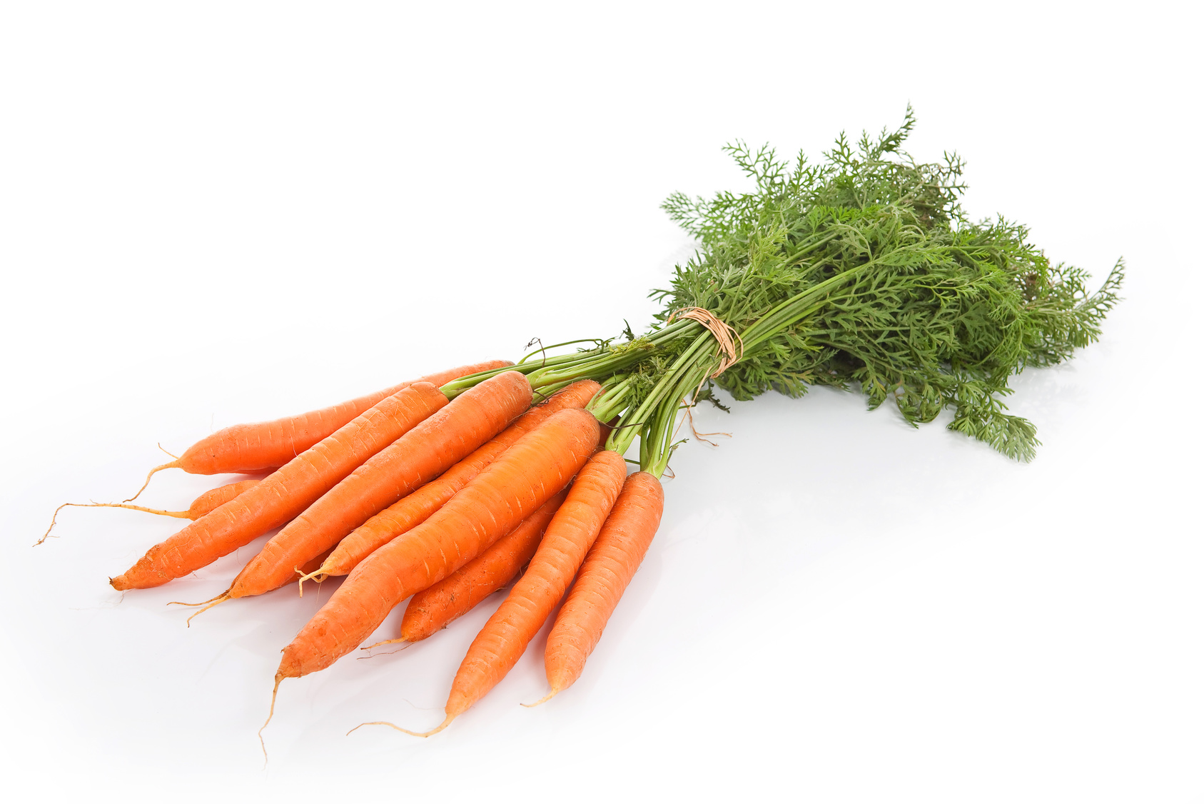 Karottenbund Möhren